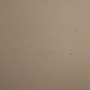 Meet your Posher, Darrell